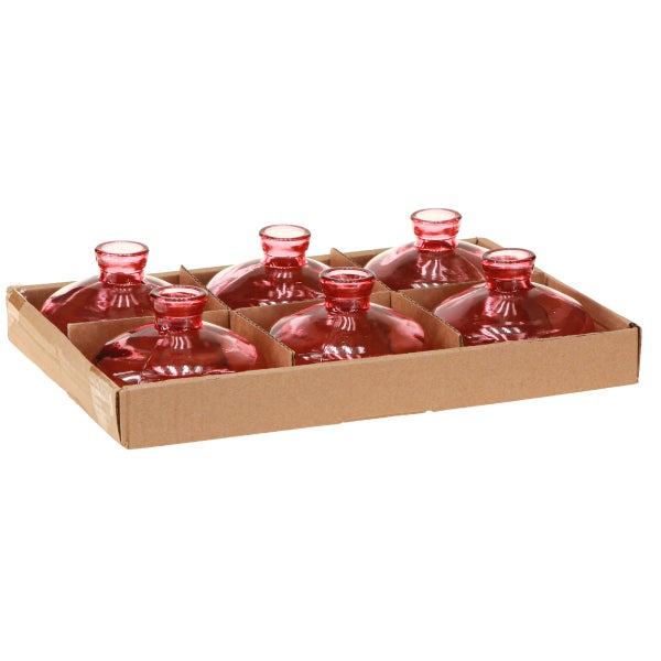 Set aus sechs kleinen Glasvasen in einer Kartonverpackung