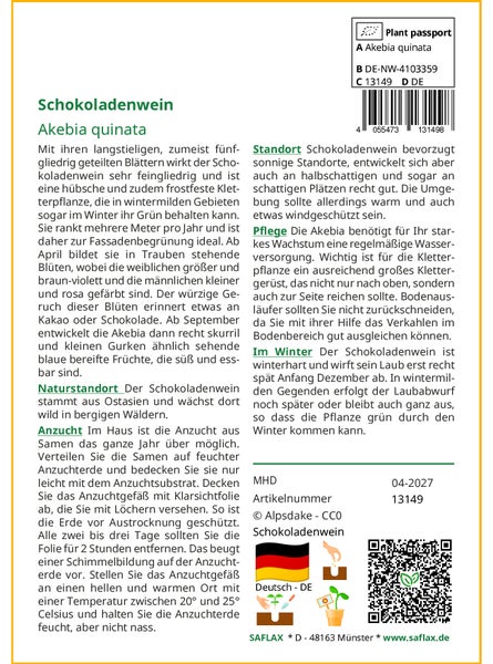 SAFLAX  - Schokoladenwein - Akebia quinata - 10 Samen