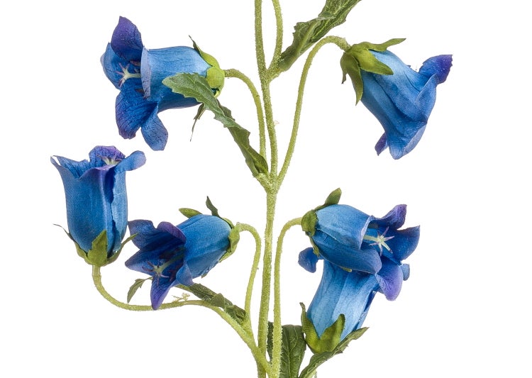 Künstliche Glockenblume mit blauen Blüten und grünen Blättern.