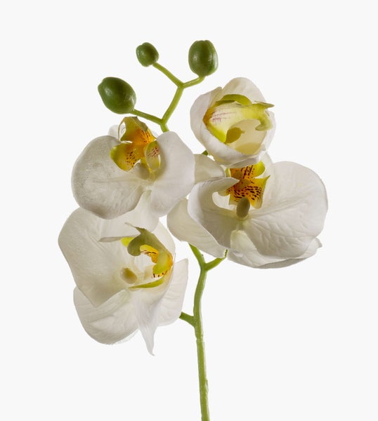Künstlicher Orchideenzweig Phalaenopsis mit weißen Blüten und grünen Knospen.