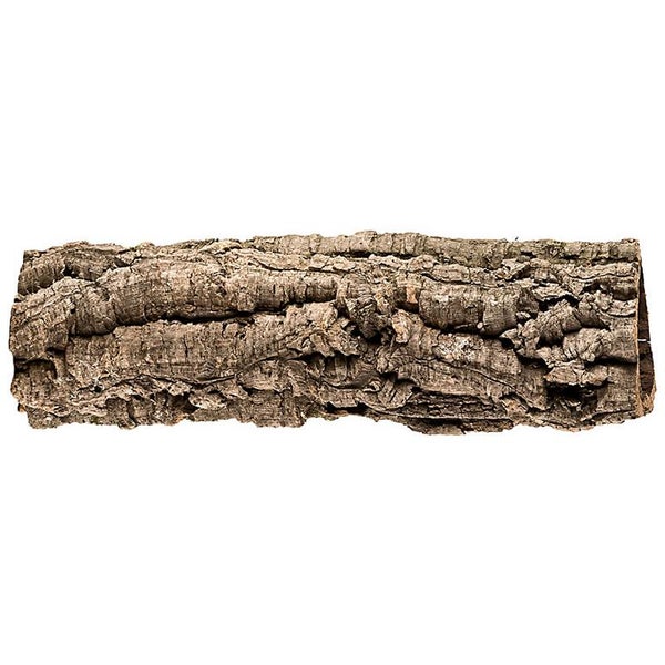 Naturkork-Röhre für Terrarien mit grober Rindenstruktur.