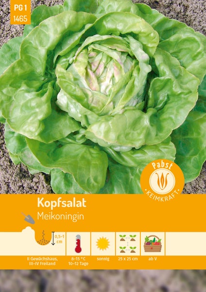 Kopfsalat Meikoningin: Saattiefe 0,5 bis 1 Zentimeter, sonnig, Abstand 25 Zentimeter. Pabst Keimkraft Logo.