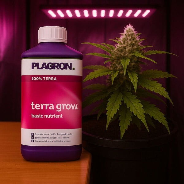 Plagron Terra Grow Basisdünger für Pflanzen neben einer wachsenden Pflanze unter Licht