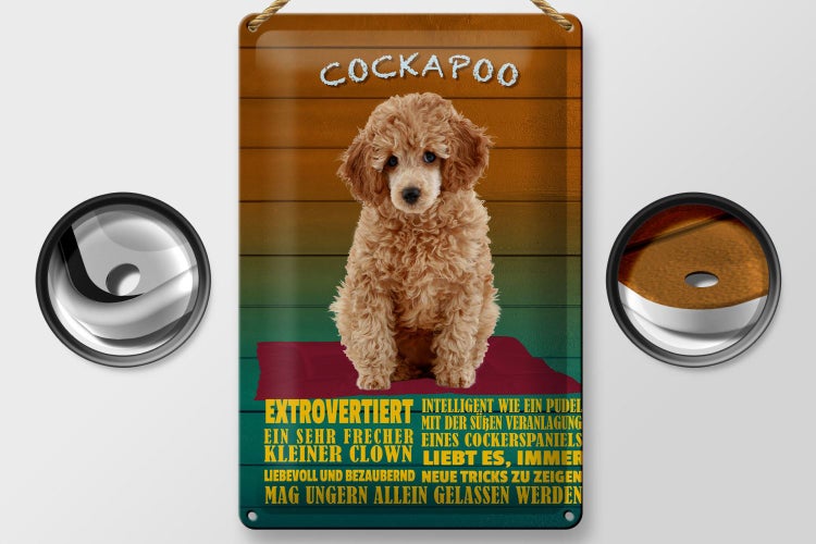 Blechschild Spruch 20x30cm Cockapoo Hund kleiner Clown