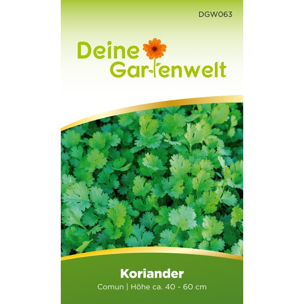Koriander Comun Samen von Deine Gartenwelt