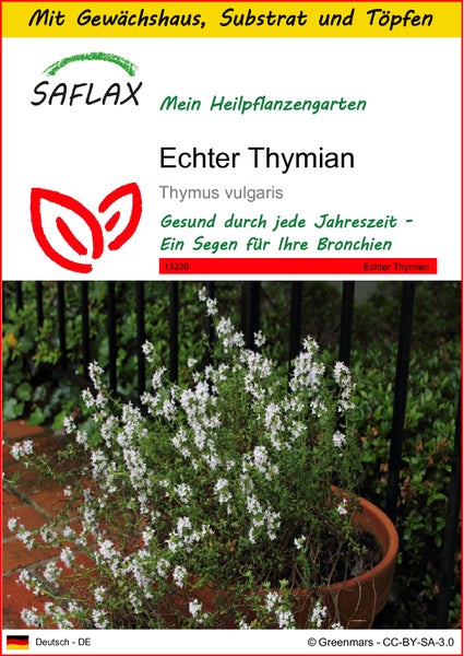 SAFLAX Anzucht Set - Echter Thymian - Thymus vulgaris - 200 Samen - Mit Mini-Gewächshaus, Anzuchtsubstrat und 2 Töpfen