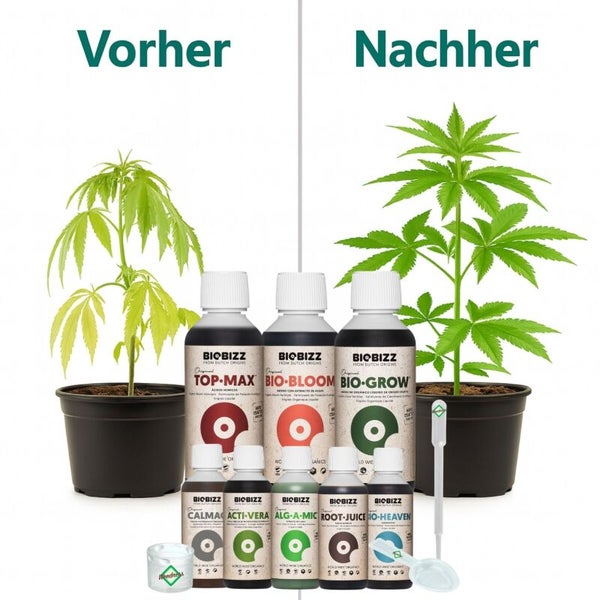 Vorher-Nachher Vergleich des Pflanzenwachstums nach Anwendung von Biobizz Pflanzendünger mit verschiedenen Düngerflaschen und Zubehör.
