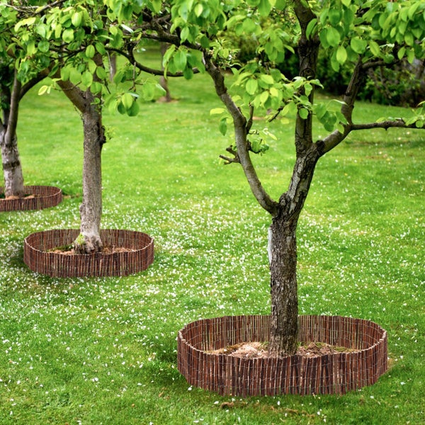 Bäume mit Baumscheiben aus Weide in einem Garten