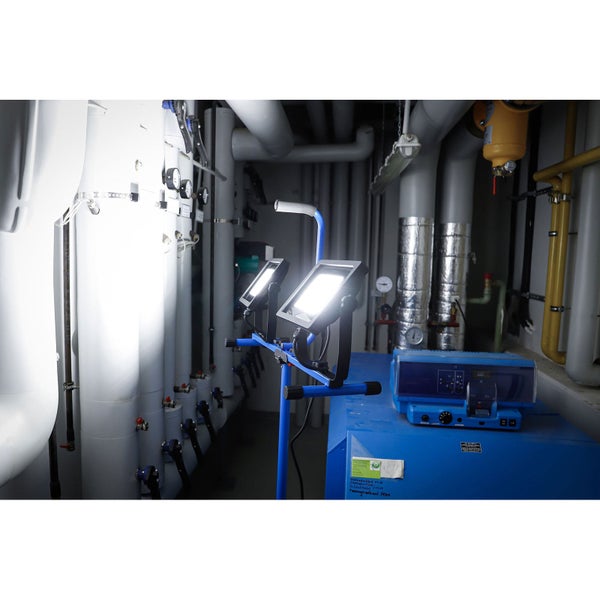 Koniferen-Formschnitt Pompon in schwarzen Kunststofftöpfen auf einem Transportwagen im Außenbereich eines Gartenmarktes.