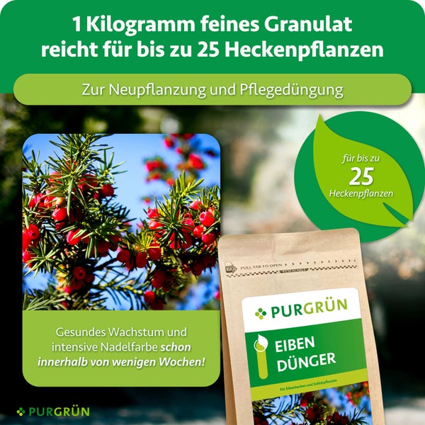 Purgrün Eibendünger in einem verschließbaren Standbodenbeutel für bis zu 25 Heckenpflanzen zur Neupflanzung und Pflegedüngung.
