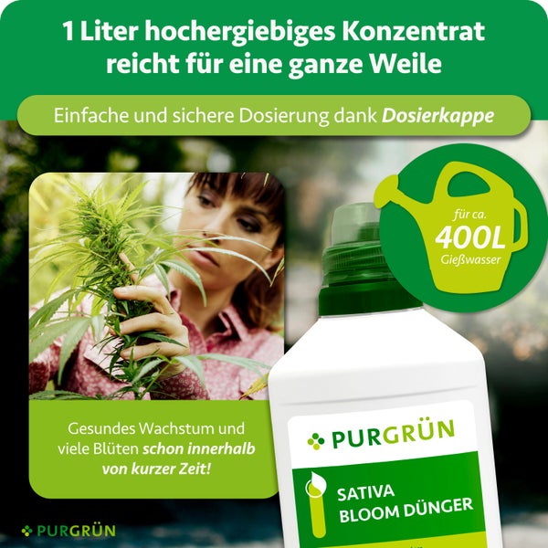 Purgrün Sativa Bloom Dünger Konzentrat, 1 Liter Flasche für circa 400 Liter Gießwasser, mit Dosierkappe für gesundes Wachstum und Blüten, Purgrün Logo.