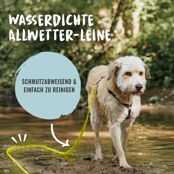 Gelbe Hundeleine mit komfortabler Handschlaufe und Neoprenpolsterung