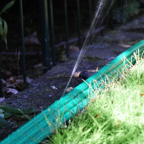 Grüner Gartenschlauch versprüht Wasser auf einer Rasenfläche.