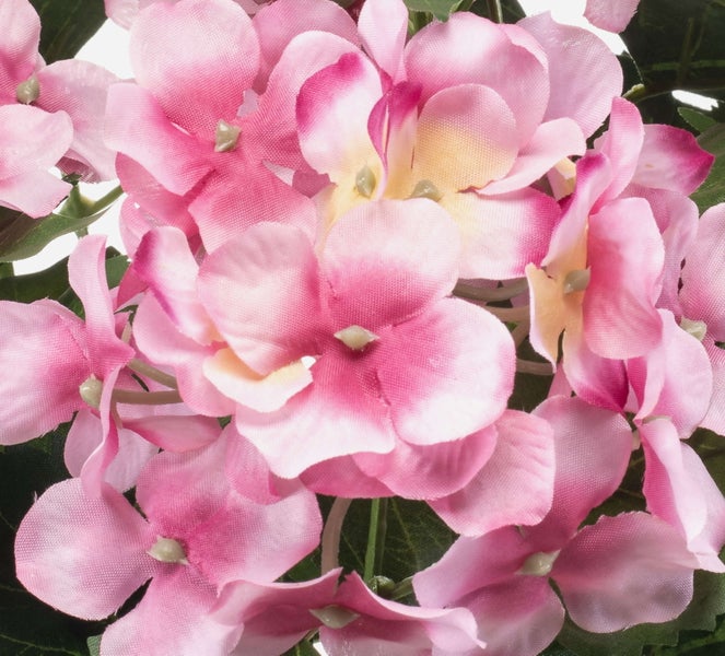 Detailaufnahme der grünen Blätter und einer rosa Blüte einer Kunstpflanze aus Textil.