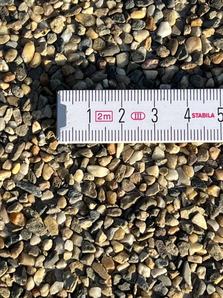 Zierkies mit einem Gliedmaßstab zur Veranschaulichung der Korngröße.