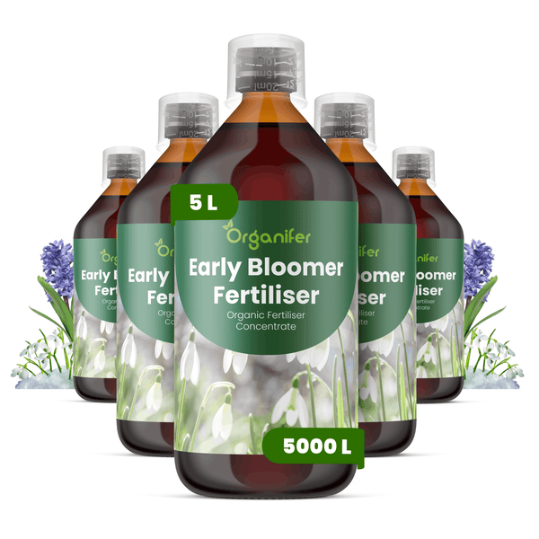 Organifer Early Bloomer organischer Flüssigdünger Konzentrat, Set aus fünf 5-Liter-Flaschen, ergibt 5000 Liter Dünger.