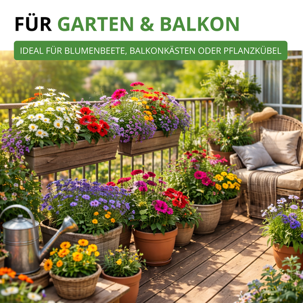 Bunt bepflanzter Balkon mit verschiedenen Blumen in Holzkästen und Pflanzkübeln, ideal für Garten und Balkon.