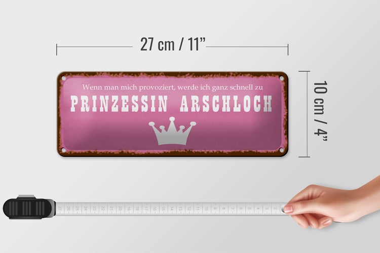 Blechschild Spruch 27x10cm ich zu Prinzessin Arschloch Dekoration