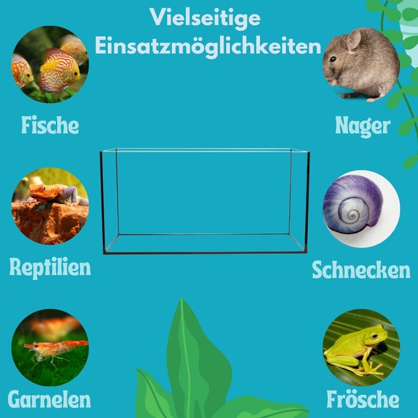 Aquarium Becken Rechteckig Glas Aquariumbecken Salzwasseraquarium Nano Aquarium Glasbecken Glasaquarium Aufzuchtbecken 50x30x30