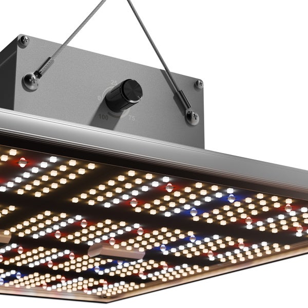 Growbox Komplett Set Classic L - für 3 Pflanzen, 100x100x200cm, 240W LED