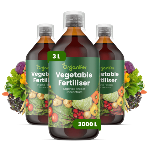 Organifer Bio-Gemüsedünger Konzentrat, drei Flaschen à 3 Liter für bis zu 3000 Liter Düngerlösung, mit Organifer Logo.