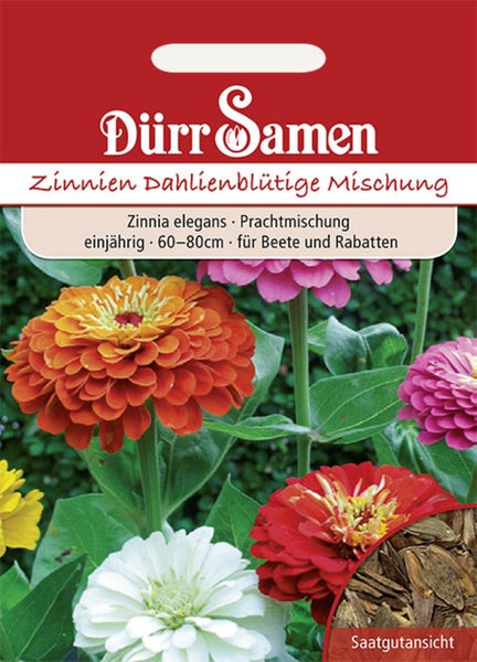 Samentüte Dürr Samen Zinnien Dahlienblütige Mischung, einjährig, Wuchshöhe 60 bis 80 Zentimeter, für Beete und Rabatten.