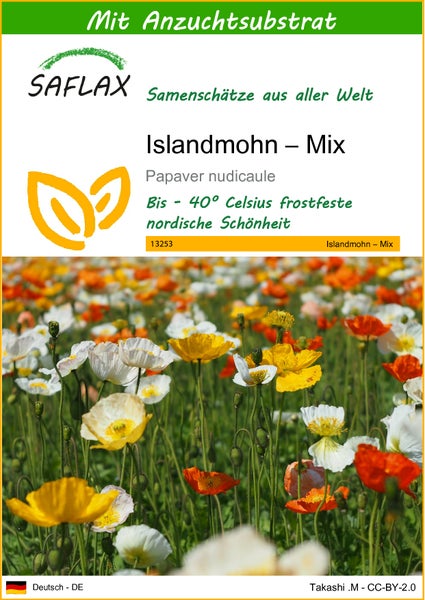 SAFLAX  - Islandmohn – Mix - Papaver nudicaule - 8000 Samen - Mit keimfreiem Anzuchtsubstrat
