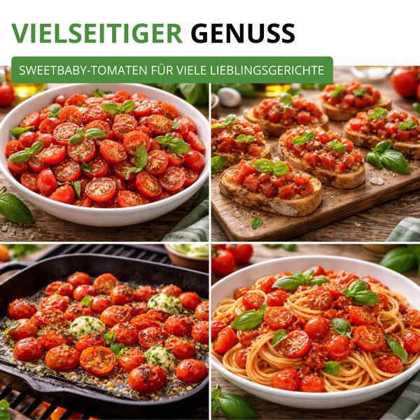 Anwendungsbeispiele für Sweetbaby-Tomaten: Tomatensalat, Bruschetta, Grilltomaten und Pasta mit Tomatensauce.