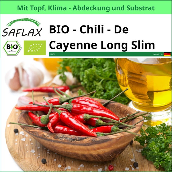 Saflax Bio Chili Cayenne Long Slim mit Topf, Klimaabdeckung und Substrat