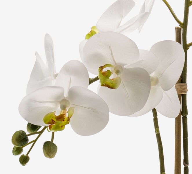 Künstliche Orchidee Phalaenopsis mit weißen Blüten und grünen Knospen am Stiel.
