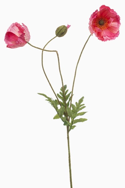Orangefarbene künstliche Mohnblume mit einer Blüte und einer Knospe an behaarten Stielen.