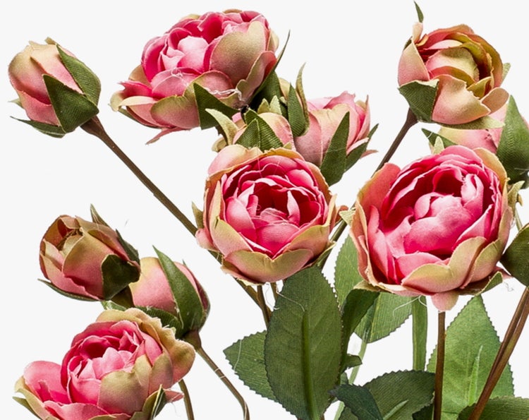 Nahaufnahme einer künstlichen Rosenpflanze mit grünen, gezackten Blättern und einem braunen Stängel.