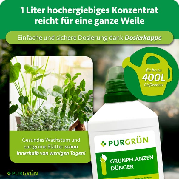Eine Flasche PURGRUEN Gruenpflanzenduenger Konzentrat mit Dosierkappe fuer 400 Liter Gieswasser zur Staerkung von Zimmerpflanzen.