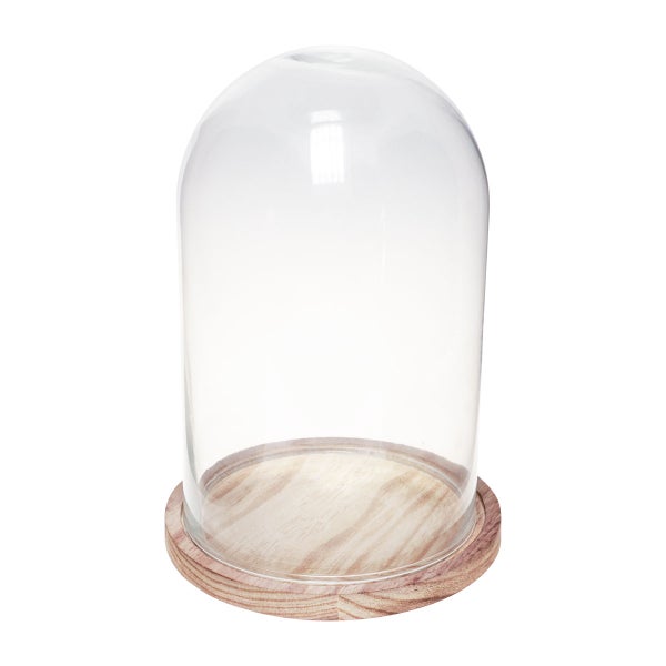 Transparente Glasglocke auf einem runden Holzsockel für Dekorationen.