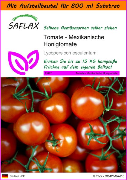 SAFLAX Garden in the bag - Tomate - Mexikanische Honigtomate - Lycopersicon esculentum - 10 Samen - Mit Anzuchtsubstrat im praktischen, selbst aufstellenden Beutel