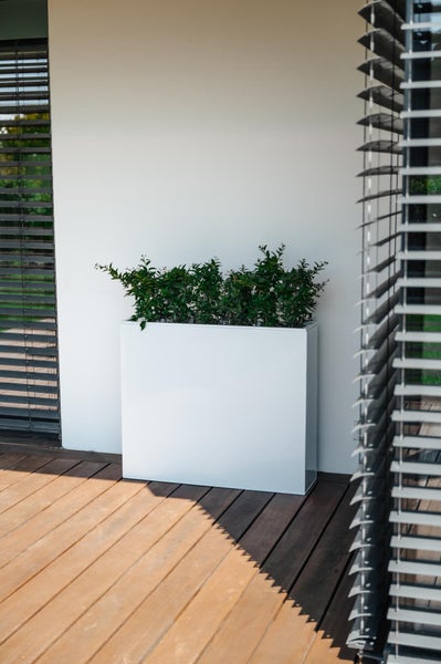 Moderner, rechteckiger weißer Pflanzkübel mit grünen Pflanzen auf einer Holzterrasse vor einer weißen Wand.