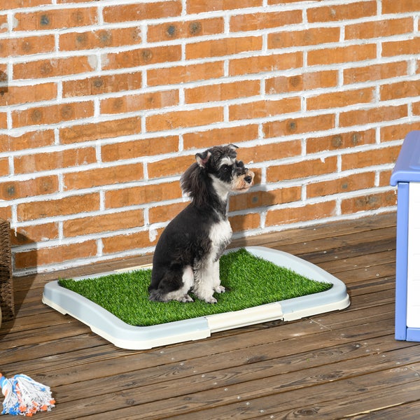 PawHut Hundetoilette, 63L x 48,5B x 6H cm, Kunststoff, PE, Grün