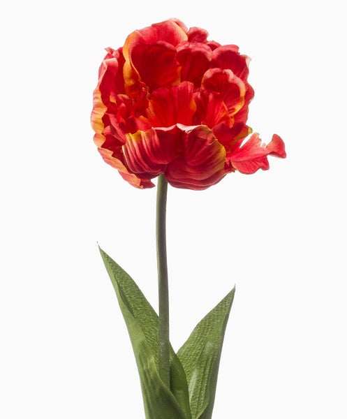 Künstliche Papageientulpe mit roter Blüte, grünem Stiel und Blättern.