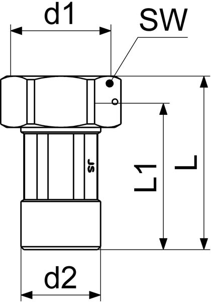 Maßzeichnung einer Verschraubung mit Dimensionen d1, d2, L, L1 und Schlüsselweite SW.
