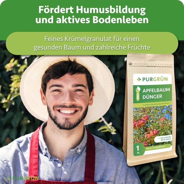 Ein glücklicher Gärtner neben einer Packung Purgrün Bio Apfelbaum Dünger in Granulatform für gesundes Wachstum und reiche Ernte.