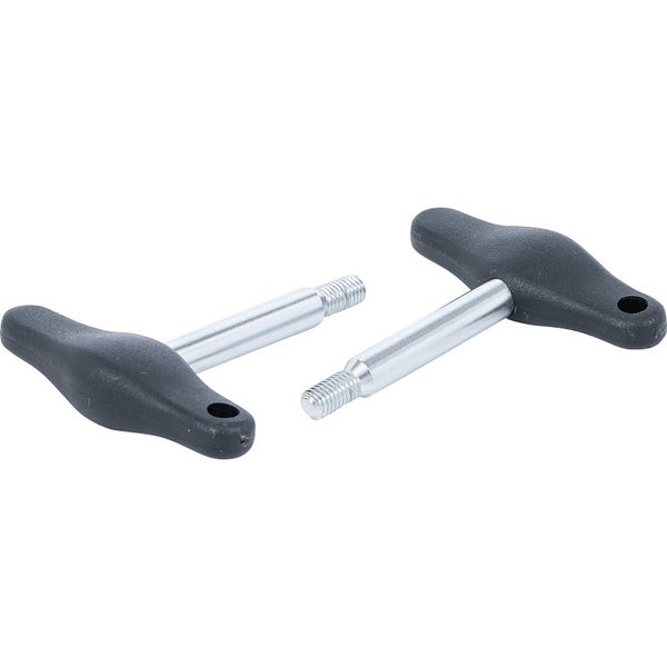 Zwei T-Griff Schrauben