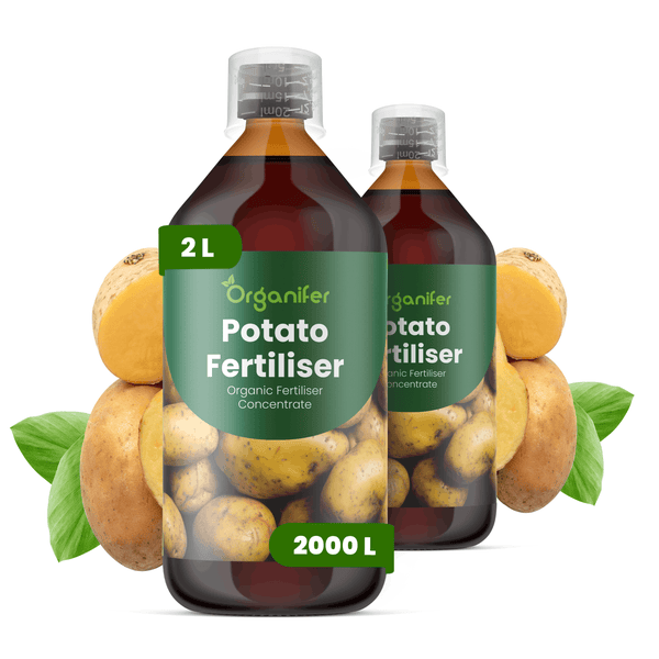 Frassor Leaf Vital Konzentrat, 250 Milliliter Flasche für 250 Quadratmeter, Pflanzenstärkungsmittel.