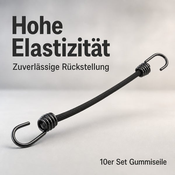 Set aus zehn elastischen Spanngummis mit Haken für sichere Befestigungen