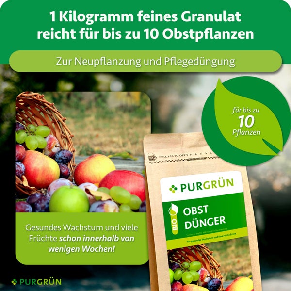 Frau hält eine Pflanze neben einer Auswahl an Purgrün Spezialdüngern für Zimmer, Balkon und Garten.