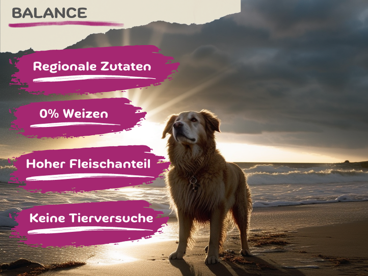 Balance | Geflügel a la Carte mit Reis | hoher Fleischanteil (ca. 90% Ente, Huhn, Pute frisch)| naturnahe Rezeptur