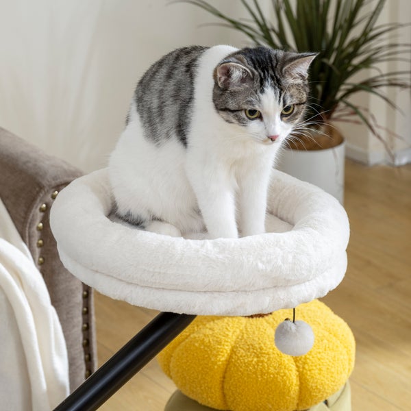Katze auf einem Katzenbaum mit Liegefläche und Spielzeug