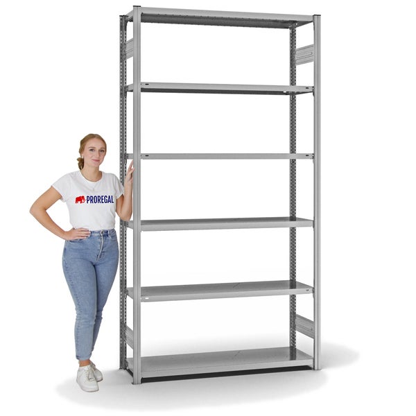 PROREGAL Fachbodenregal Stecksystem T-Profil Light-Duty Grundregal HxBxT 250 x 130 x 40 cm 6 Ebenen Fachlast 180 kg Beidseitig Nutzbar Verzinkt