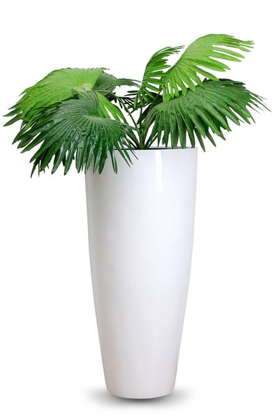 Künstliche Palme in einer hohen weißen Bodenvase.