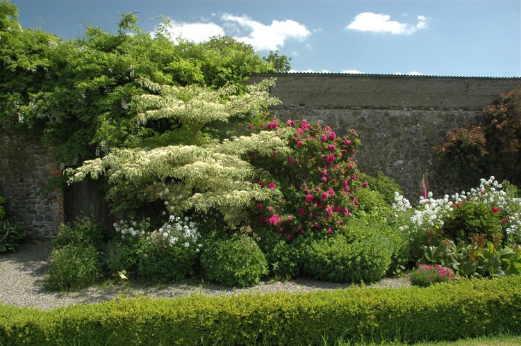 Garten mit verschiedenen Pflanzen, Büschen und einer Mauer