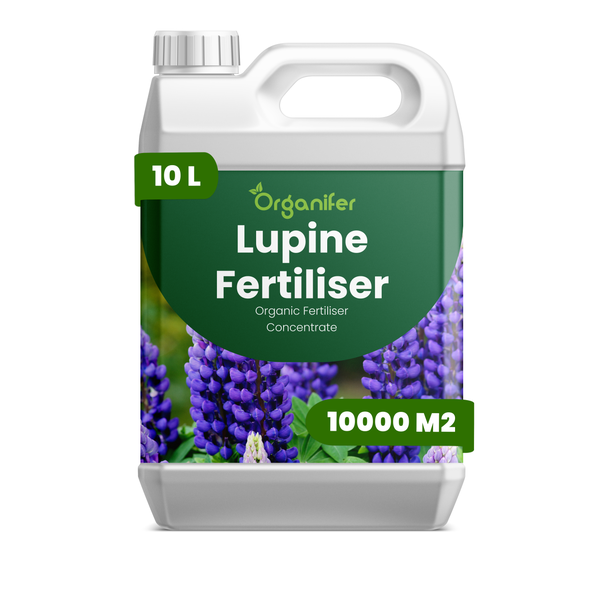 Organifer Lupinen-Dünger, organisches Düngerkonzentrat, 10 Liter Kanister für 10000 Quadratmeter.